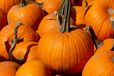 Pumpkin Tips