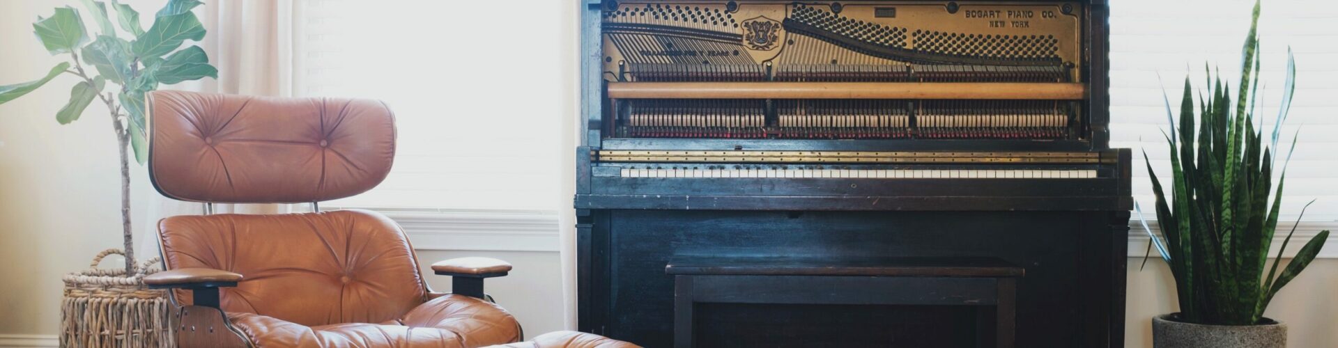 Make the most out of estate agent