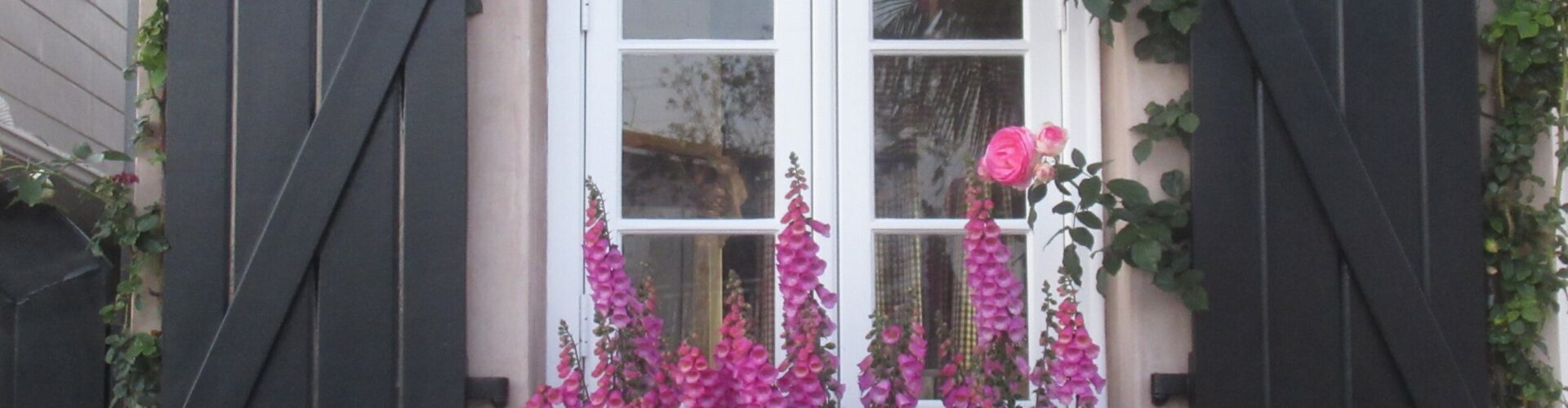 local estate agents adding value to your garden