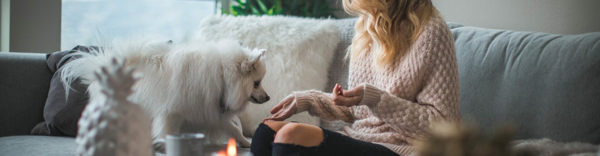 November property market guide