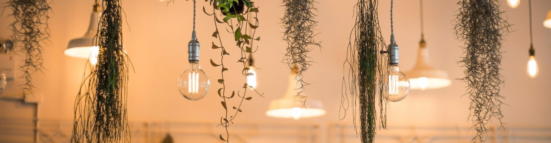 2023 a brighter year for property market