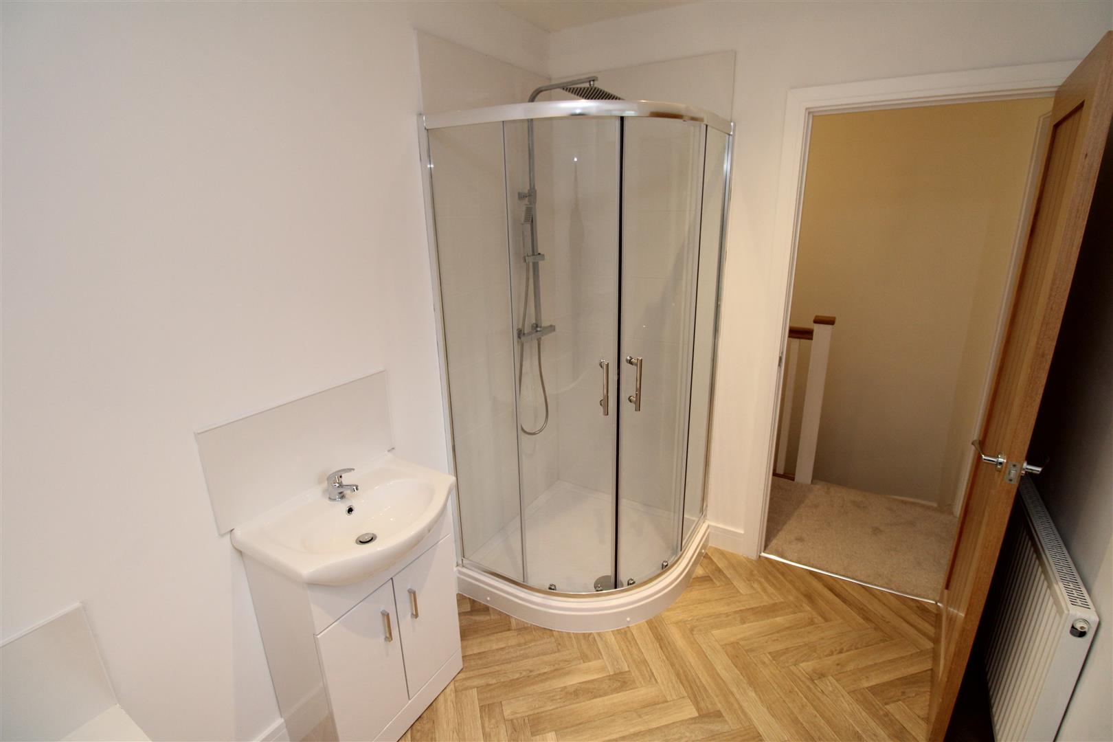 house for rent bute street