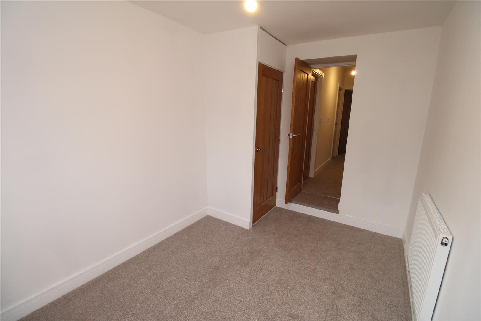 house for rent bute street