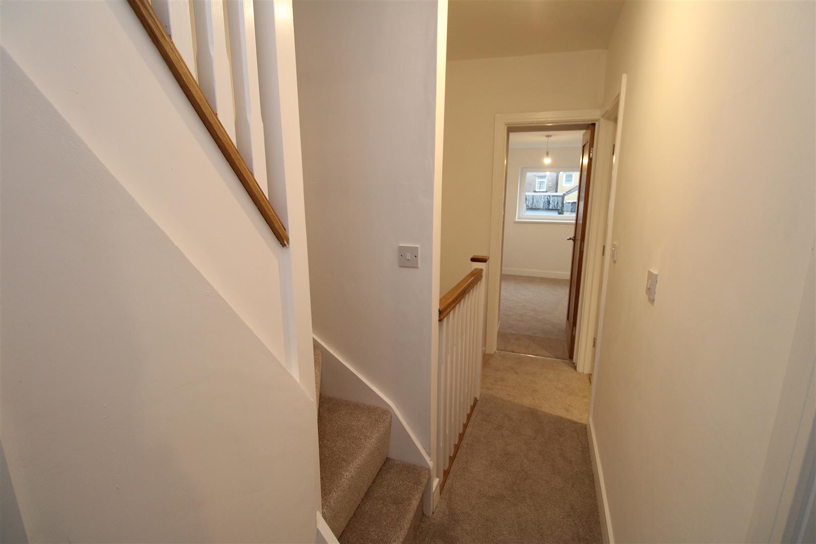 house for rent bute street