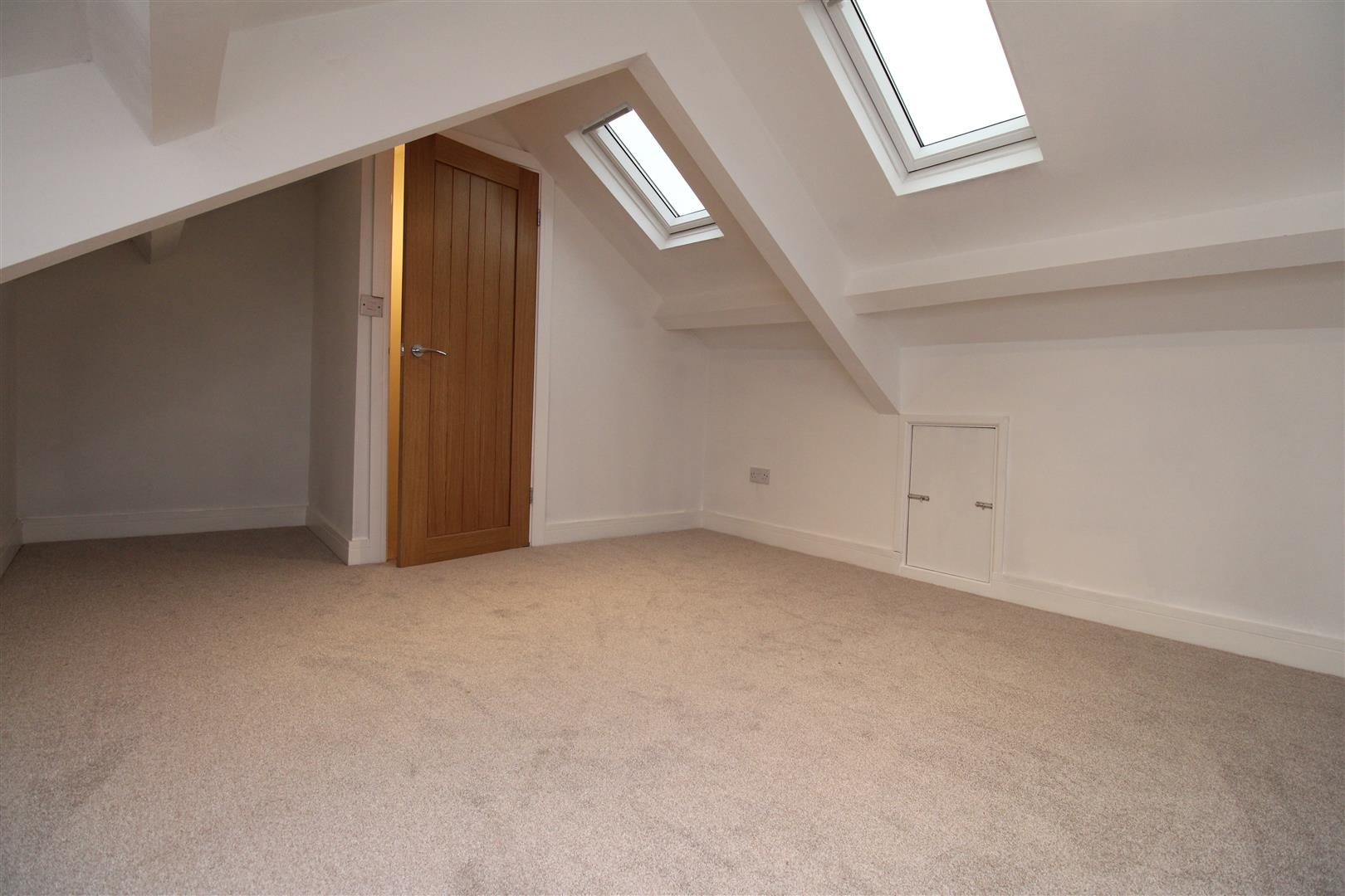 house for rent bute street