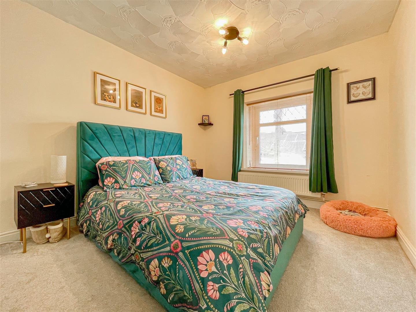 house for sale ann street