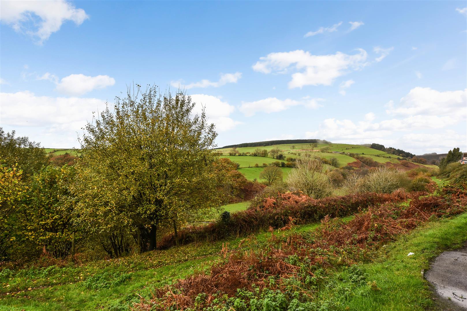 house - semi-detached for sale thomas street
